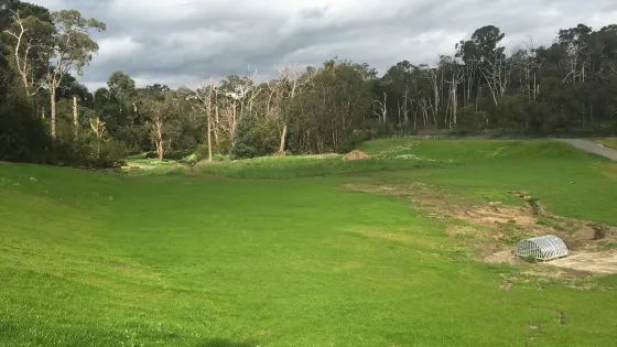 Old Joes Creek Reserve