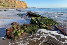 Abalone Cove Beach景点图片