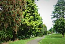 Te Awamutu Rose Gardens景点图片