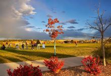 Salisbury Equestrian Park景点图片