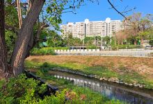 台南市立体育公园景点图片