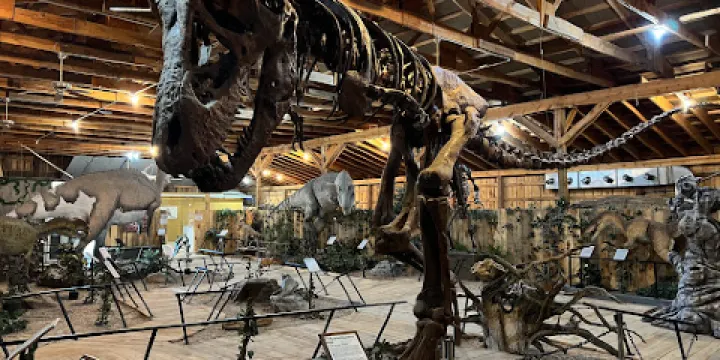 Dinosaur Museum