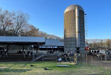Great Brook Farm Ice Cream美食图片