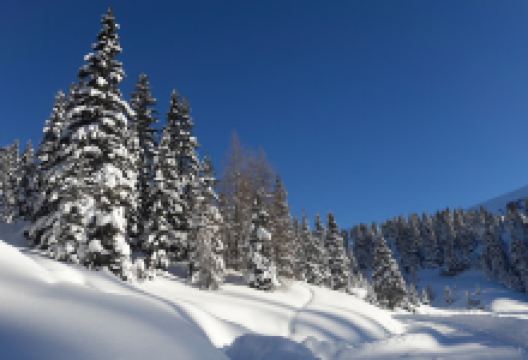 Poms Wasserfall景点图片