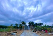 Trịnh Farm景点图片