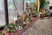 Friedhofsgärtnerei Kötterjohann购物图片