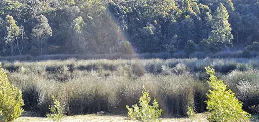 色米爾湖國家公園