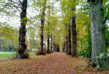 Doolhof Landgoed De Braak景点图片