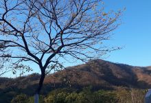 Parque Estrella de Paraiso景点图片