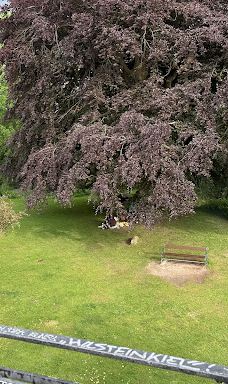 Alter Botanischer Garten-基尔