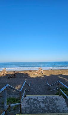 Shamel Park-坎布里亚