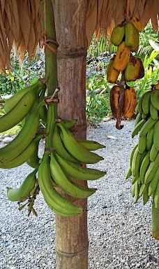 Cacao Trails - Museo de Cacao-Talamanca