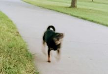 Century Park景点图片