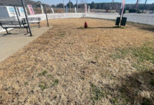 Davis Travel Center Dog Park景点图片