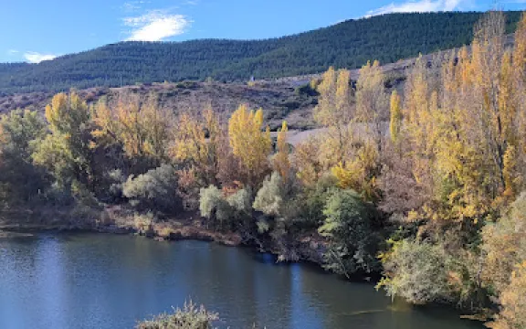 Villa romana de Liedena