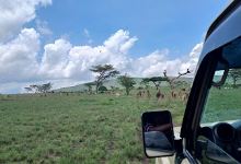 Senkelle Wildlife Sanctuary景点图片
