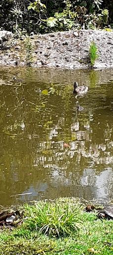 Městský park Chomutov-霍穆托夫