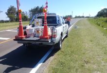 Maury Tattoo美食图片