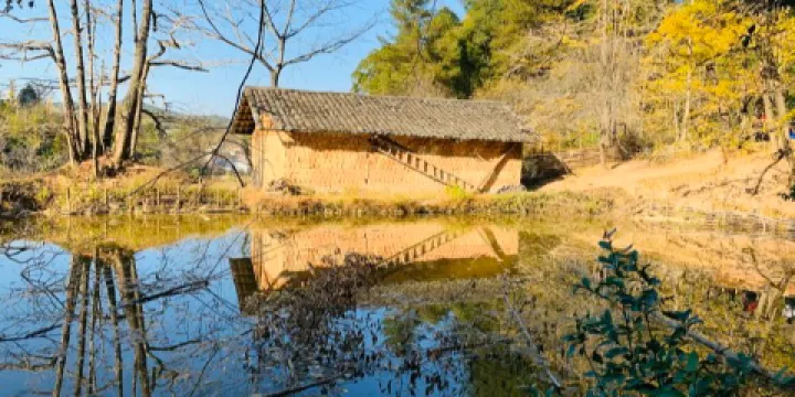 坪田銀杏森林公園