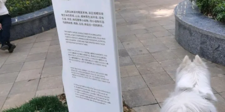 九龍瀑布羣叢林派對