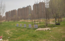 隐于世野奢营地餐厅图片