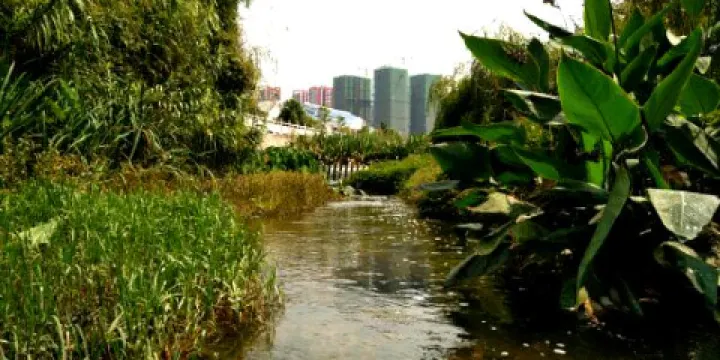 梯青塔濕地公園