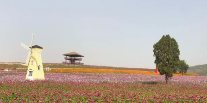 呂梁風景區紫薇園