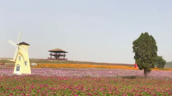 呂梁風景區紫薇園