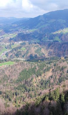 Dornbirn Cable Car GmbH-多恩比恩