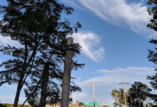 Washington Manor Park景点图片