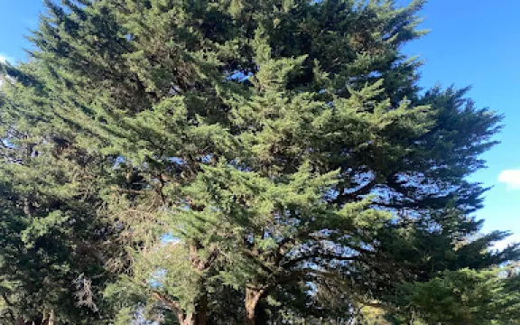 Eltham War Memorial Park