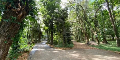 UPLB Museum of Natural History