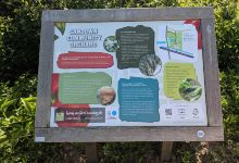 Sandown Community Orchard景点图片