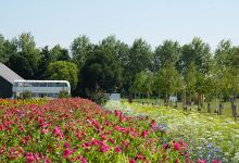 Finland100Park景点图片