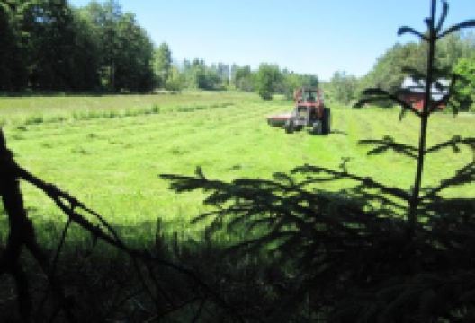 Annelund景点图片