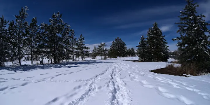 Lakewood Heritage Center