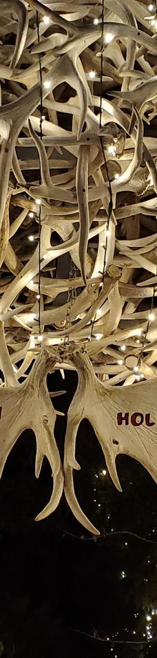 杰克逊鹿角公园-杰克逊