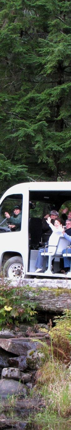 Glacier Gardens Rainforest Adventure-朱诺