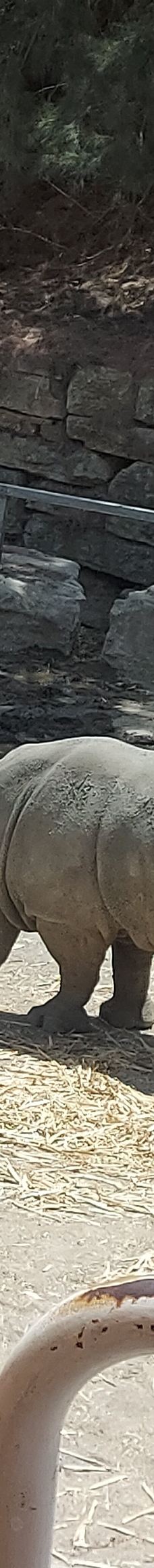 Selwo Aventura-埃斯特波纳