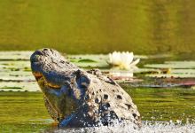 Noxubee National Wildlife Refuge景点图片