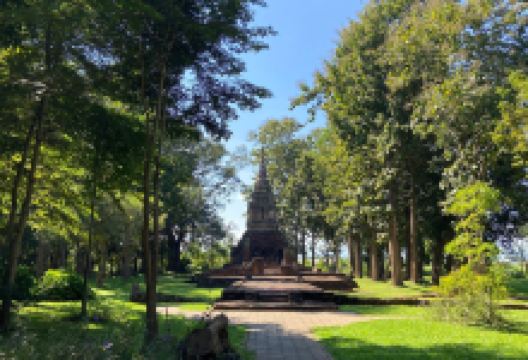 Wat Pa Sak景点图片