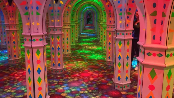 Amazing Mirror Maze