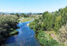 Riserva Naturalistica del Borsacchio景点图片