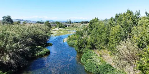Riserva Naturalistica del Borsacchio