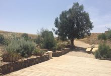 Tel Be'er Sheva景点图片