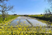 Les Marais Salants de la Vie景点图片