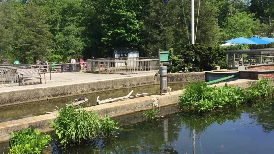 Cold Spring Harbor Fish Hatchery & Aquarium