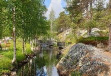 Fjällbotanisk Trädgård景点图片