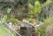 Reserva Ambiental Serelepe景点图片