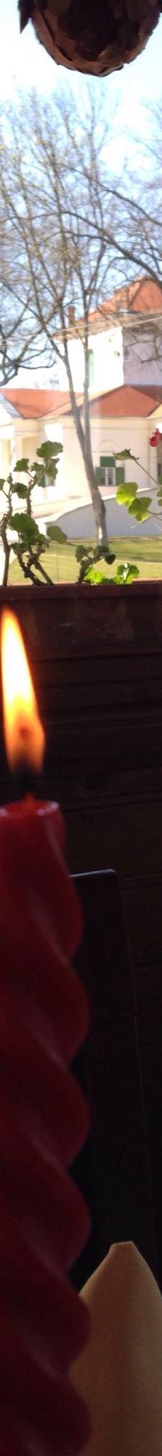 Mures-Bréda Castle-勒克什哈佐